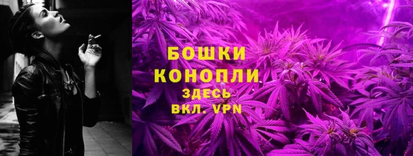 прущие крисы Новозыбков