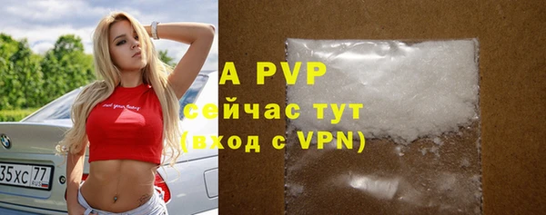 прущие крисы Новозыбков