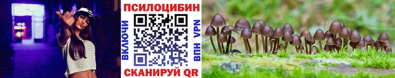 магазин  наркотиков  Княгинино  Псилоцибиновые грибы Cubensis 